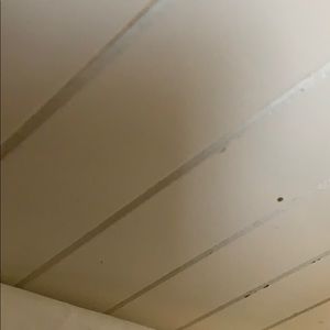 Meet your Posher, Lucia